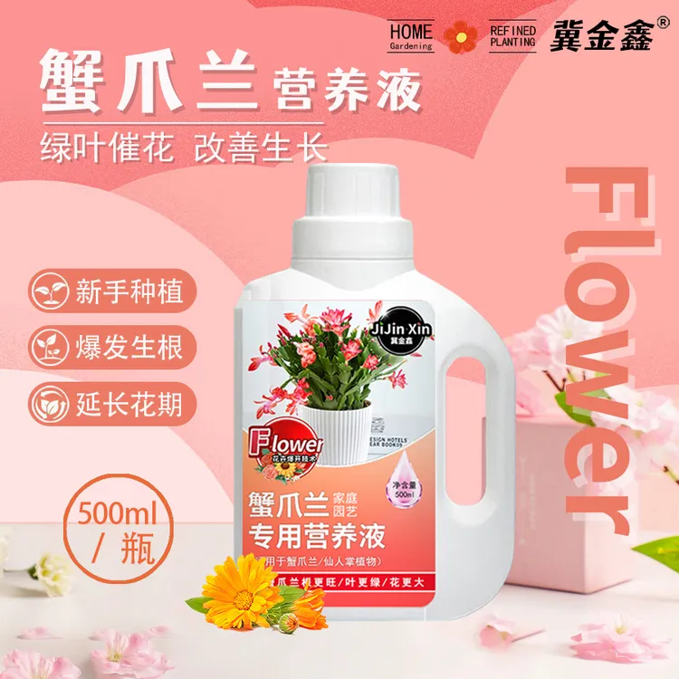 冀金鑫蟹爪兰营养液催花促花肥料专用肥叶子发蔫变软干瘪怎样补救商品图