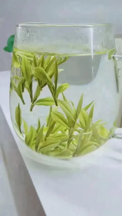 临时链接蒲箩坞兰花香白茶小芽2025年新茶安吉高山兰花香网红绿茶
