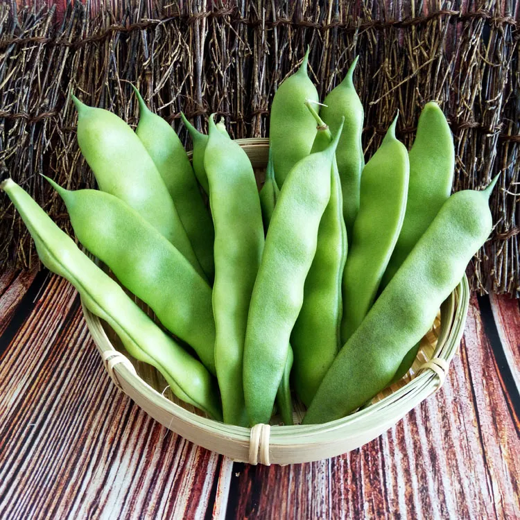 东北陆地九月青豆角现摘现发正宗农家蔬菜整箱3/5斤包邮