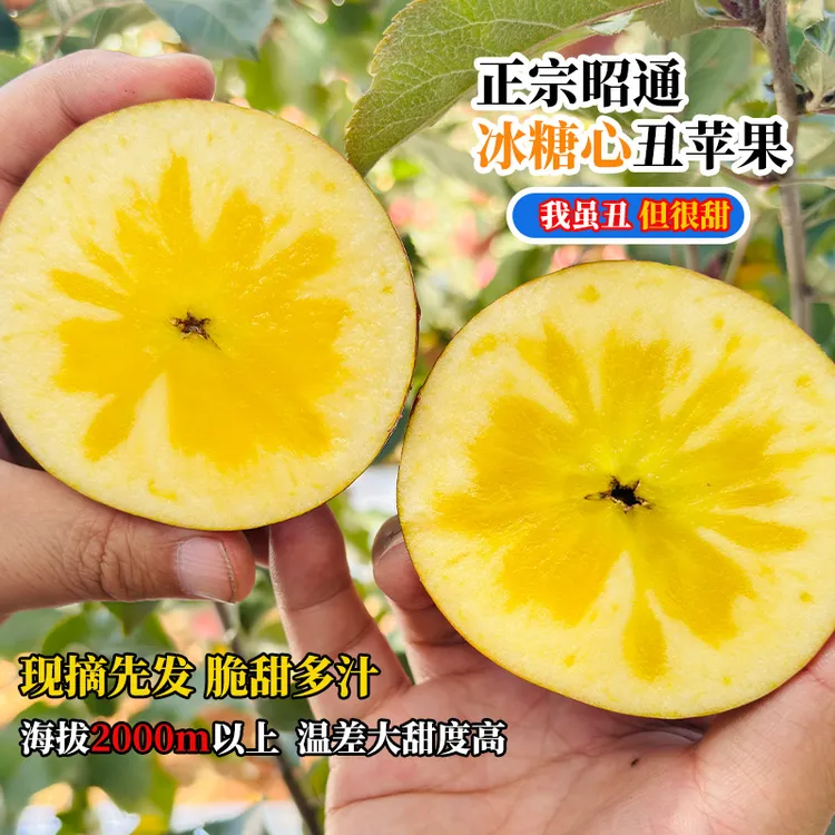 正宗昭通冰糖心丑苹果新鲜采摘脆甜多汁产地直发整箱发货包邮