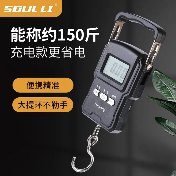 高精度手提电子秤小型快递称便携式家用钩商用吊勾弹簧行李称鱼器