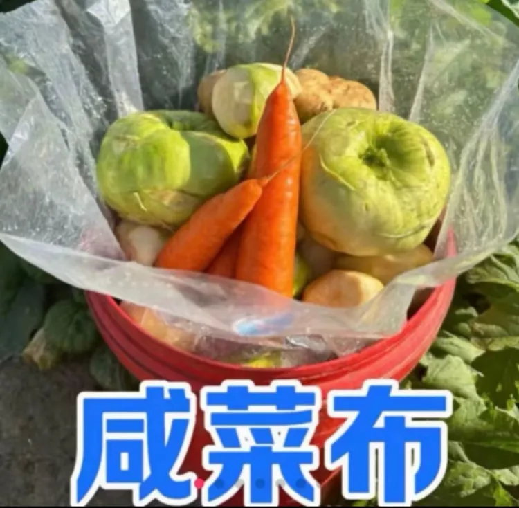 拍一发二咸菜布无毒无害