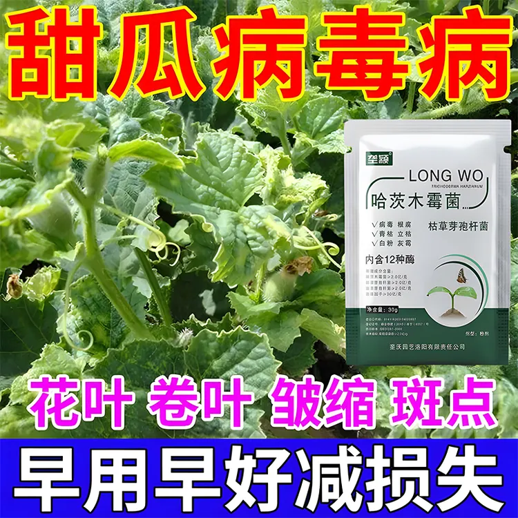 甜瓜病毒病专用肥防止小叶卷叶花叶黑斑叶斑病靶斑病水溶叶面肥料