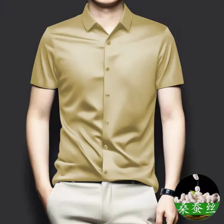 蒂斯派尔桑蚕丝高端衬衫男短袖夏季轻奢真丝商务纯色衬衣免烫抗皱