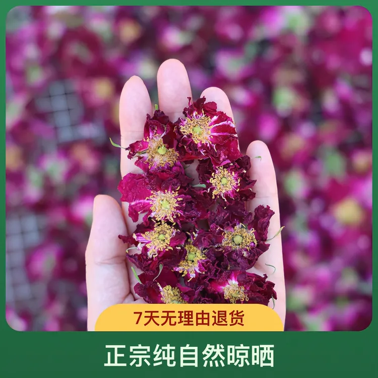 苦水玫瑰花冠正宗纯自然晾晒无硫熏无农残食用玫瑰初级农产品