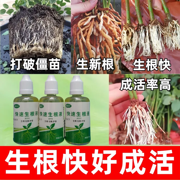 康佰卉生根液养花扦插生根水营养液植物扦插用品花店水培生根液