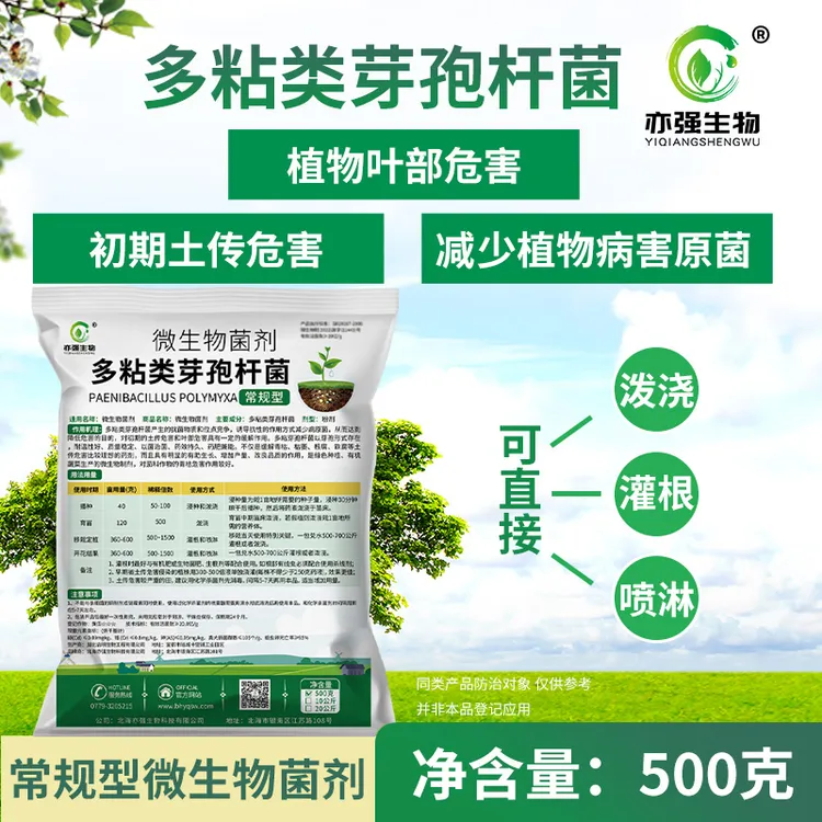 多粘类芽孢杆菌微生物菌剂病害促进促进农业抗性移栽生长防治