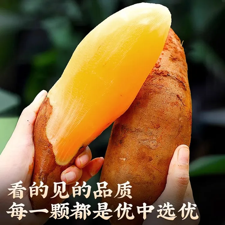 云南天山雪莲果新鲜现挖现发低糖低卡应季碱性水果脆甜高山雪莲果