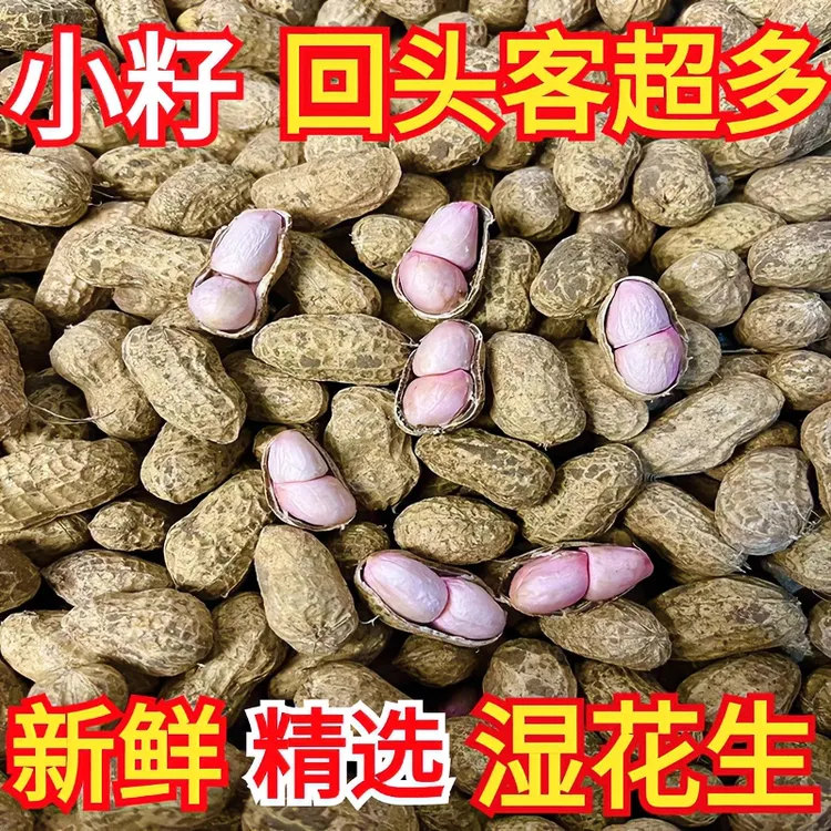25年湿花生小白沙小花生脆甜回香出油率高可做盐水花生包赔新鲜