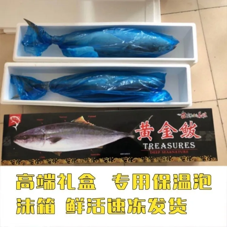 【精美礼盒】深海野生添加黄金大鲅鱼无冰衣非马鲛鱼深海大鲅黄鰤鱼