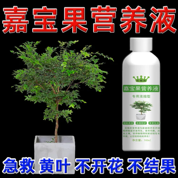 嘉宝果营养液催花剂树葡萄肥料磷钾肥促花肥沙巴嘉宝果挂果专用肥