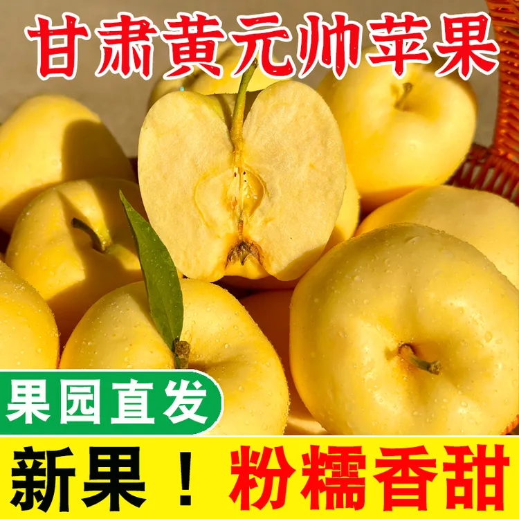 陇原心选甘肃静宁黄元帅苹果粉面新鲜应当季水果黄金帅黄香蕉苹果