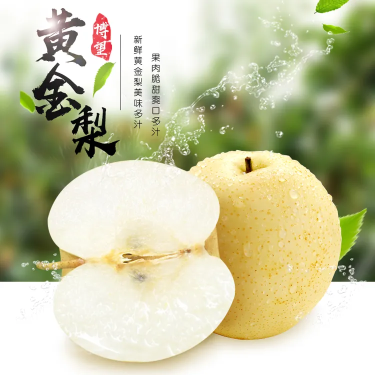 （满草园品牌）正宗南阳博望黄金梨2025新季水果