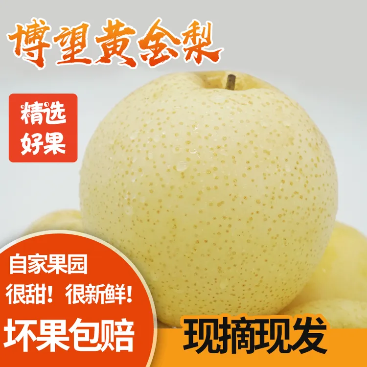 （满草园品牌）正宗博望黄金梨脆甜无渣皮薄新鲜水果