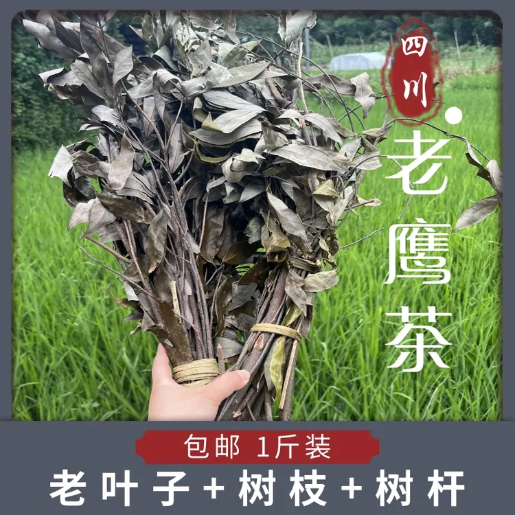 四川特产农家老鹰茶老荫茶火锅茶叶红白清凉茶500G农产品