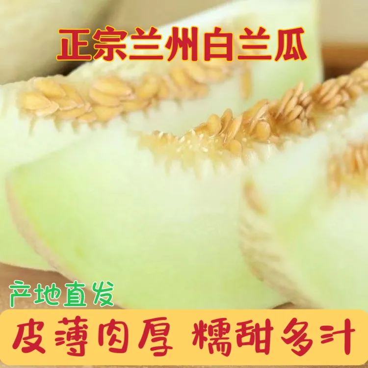 兰州白兰瓜头茬台农甜瓜蜜瓜网纹瓜爆甜多汁现摘现发现货