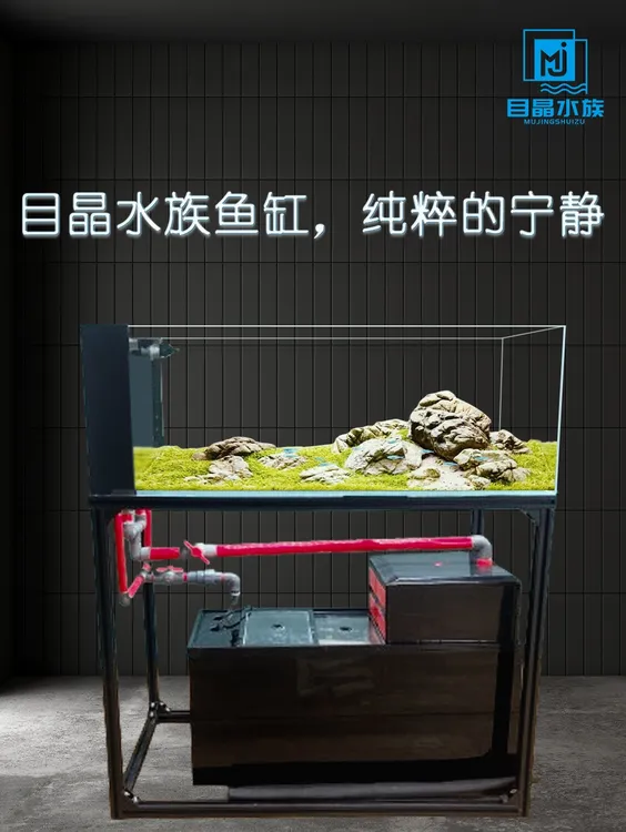 超白玻璃侧溢流生态溪流缸兰寿缸水刀底滤鱼缸原生造景工业风