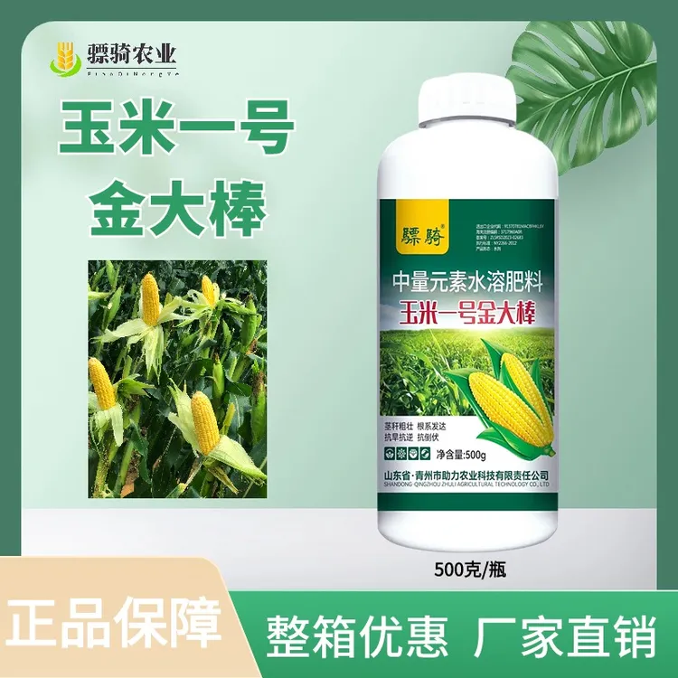 【老粉专属】玉米一号金大棒