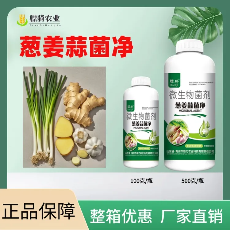 骠骑葱姜蒜菌净干尖黄叶烂根斑点倒伏韭菜大蒜大葱专用肥