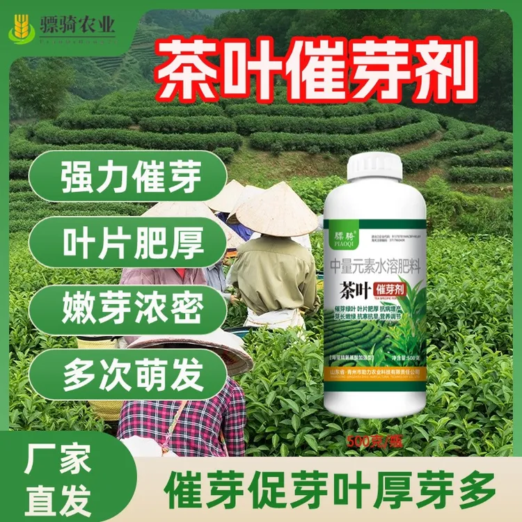 骠骑茶叶催芽剂茶叶催芽芽齐出芽快叶片厚提高品质增强