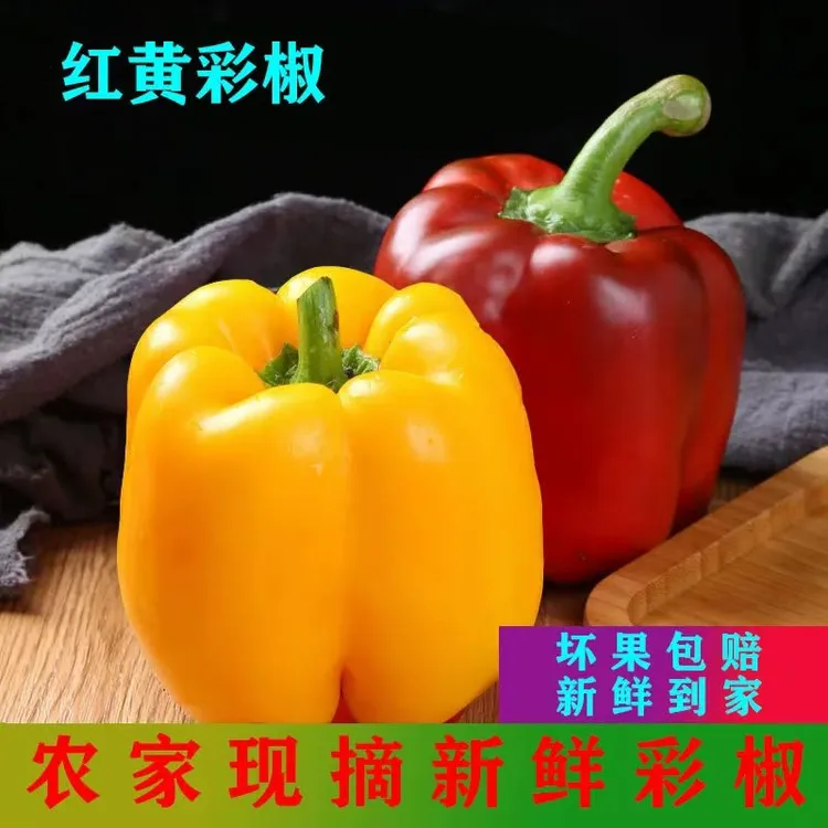 新鲜水果彩椒五彩甜椒圆椒柿子椒辣椒灯笼椒新鲜黄彩不辣彩椒