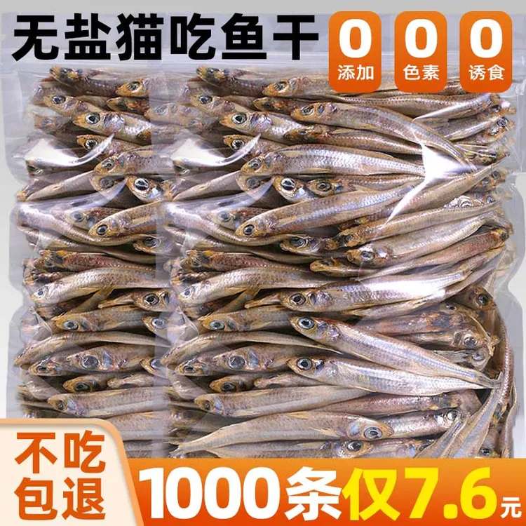 小鱼干猫咪零食营养多春鱼冻干增肥发腮鱼油猫条淡水河鱼幼猫猫粮