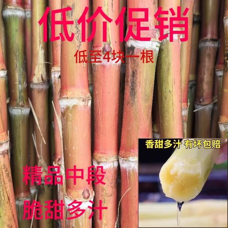 云南老品种甘蔗红皮甘蔗脆甜多汁孕妇水果当季新鲜红脆皮新鲜甘蔗