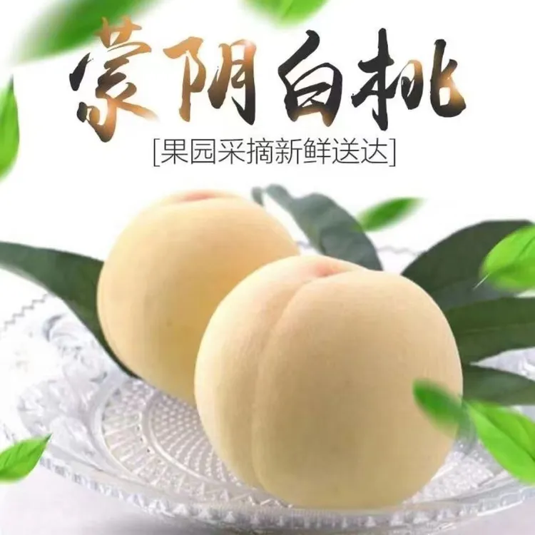 蒙阴蜜桃白桃白玉桃毛桃脆甜多汁水蜜桃硬桃爆甜冬桃农家水果山东