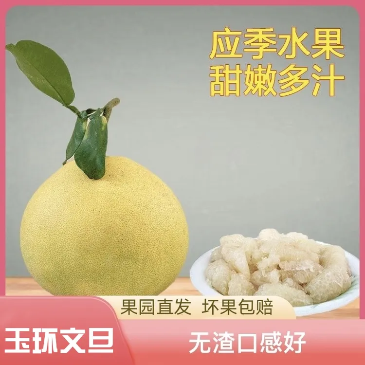 正宗玉环文旦柚【中果简装】恩奇果园40年老树新鲜多汁当季时令水果