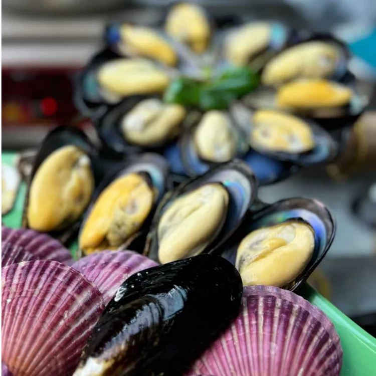 活鲜大号青口贝贻贝海虹新鲜干净发货-保冰鲜到货不包活