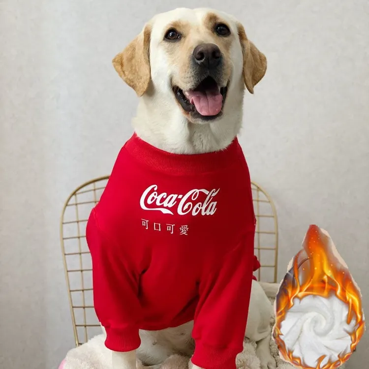 大狗新年衣服秋冬款加绒加厚金毛红色衣服拉布拉多德牧中大型犬
