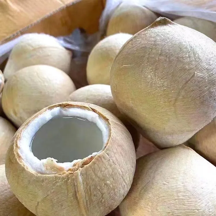 泰国丹嫩沙多椰皇椰子/大果6/10颗装【单果410g-720g/颗】