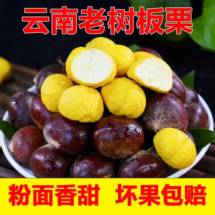云南新鲜老品种土板栗2024年头茬毛栗子新鲜下树板栗粉面香甜香糯