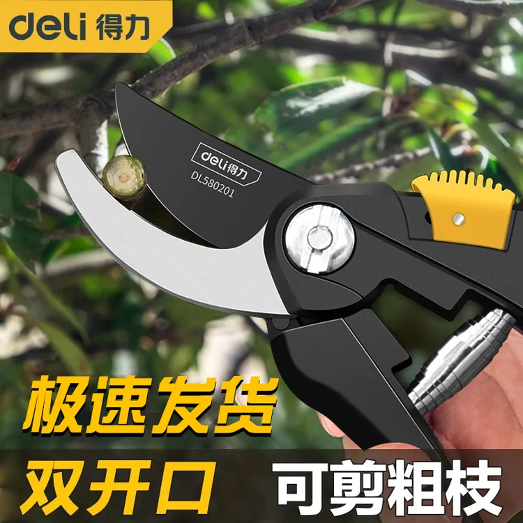得力剪枝剪刀园林花艺修剪树枝剪刀果树剪刀粗大花剪园艺剪子工具