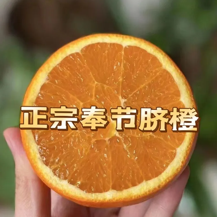 【顺丰包邮】正宗奉节脐橙-福本（中果）现摘现发 香甜浓厚口感脆甜