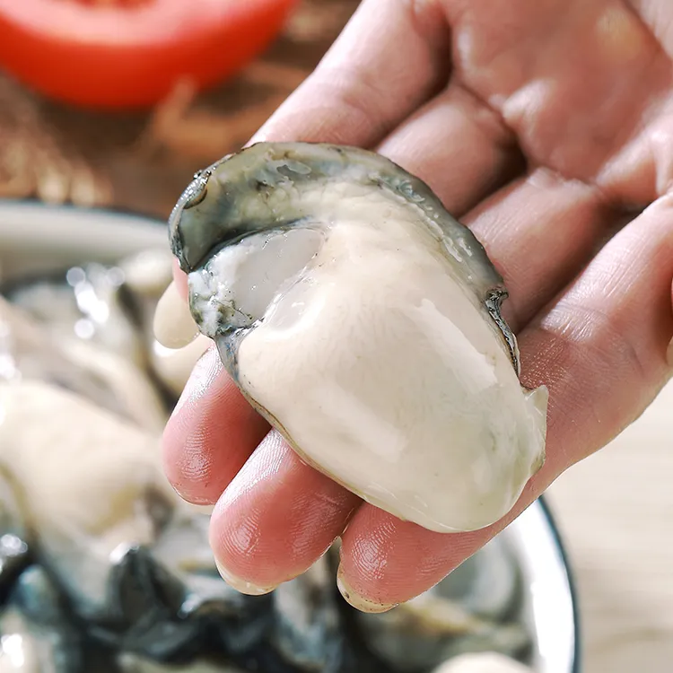 广东汫洲生蚝两斤包邮新鲜粉蚝现剥生蚝肉鲜活海蛎子肉海鲜大蚝