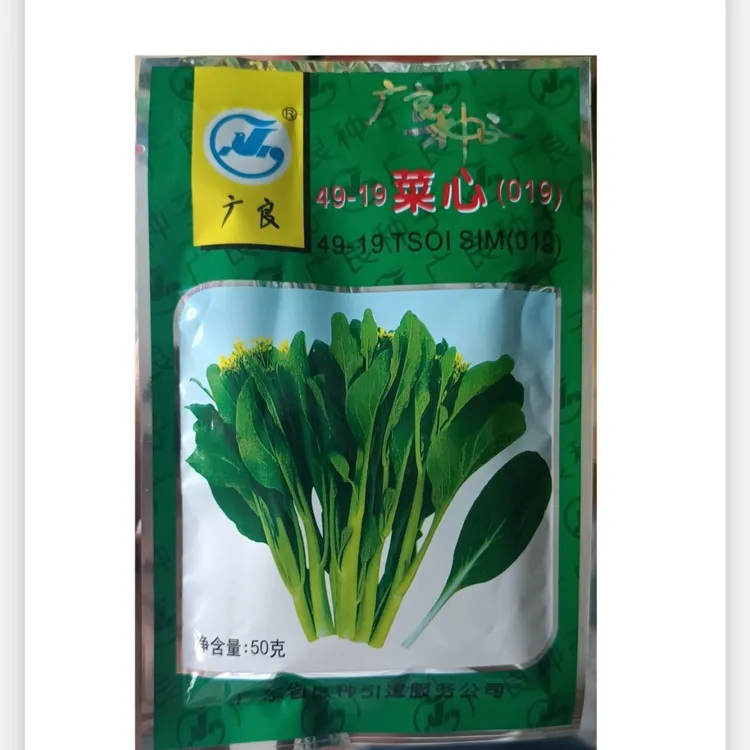 四九菜心种子广良49-19号菜心蔬菜种子广东农科院夏秋季耐热抗病