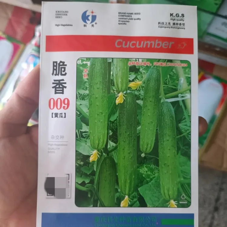 科光脆香009黄瓜种子杂交早熟优质青瓜质脆清香无苦味耐热耐阴