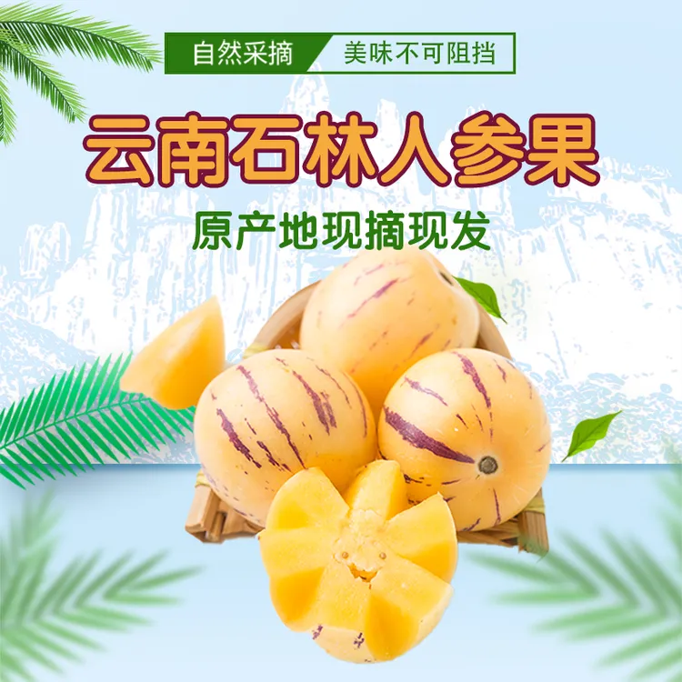 （达人专享）云南石林人参果树熟黄果黄肉新鲜采摘满口爆汁坏果包赔