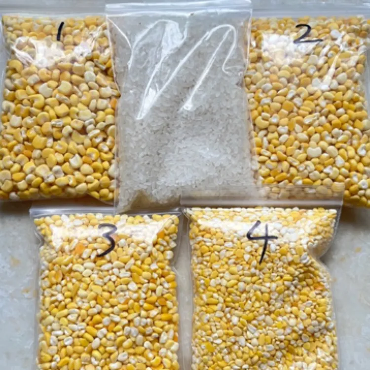 东北黑龙江大碴子2.5斤➕粘大碴子2.5斤/5斤各种规格可选