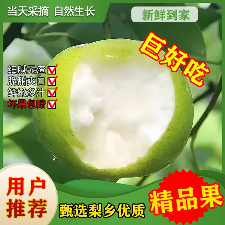 【2024现摘现发皇冠梨】肉质新鲜细腻口感味美多汁无渣皮薄成熟应季