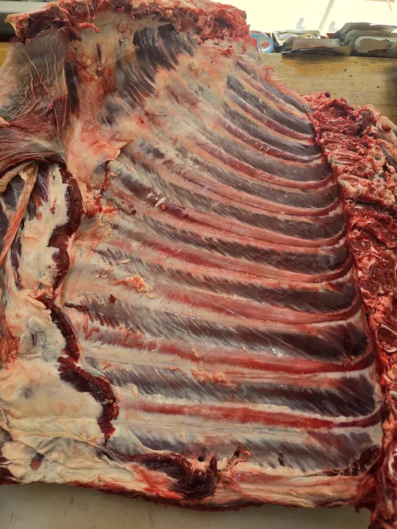 清真 加肉牛排 牛排骨 牛肋排 炖煮烤 煲汤