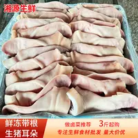 新鲜冷冻带耳根猪耳朵3斤商用生猪耳餐饮卤菜生鲜食材