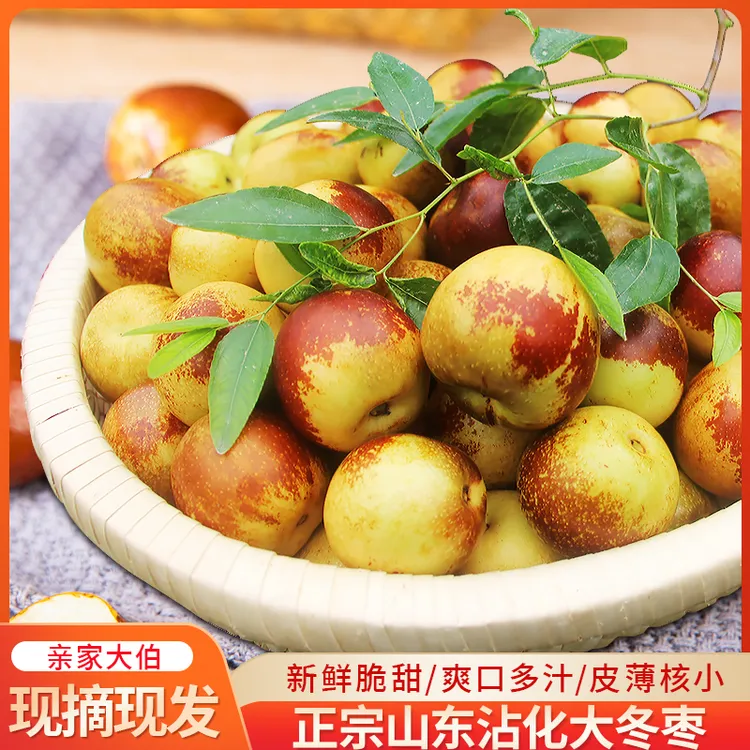 【亲家大伯】沾化大棚冬枣1代