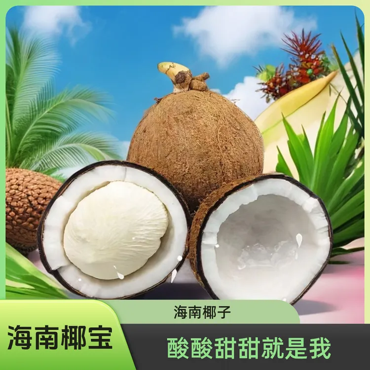 椰宝发芽老椰子椰蛋怀孕的椰子肉厚榨椰奶椰油新鲜发货快坏果包赔