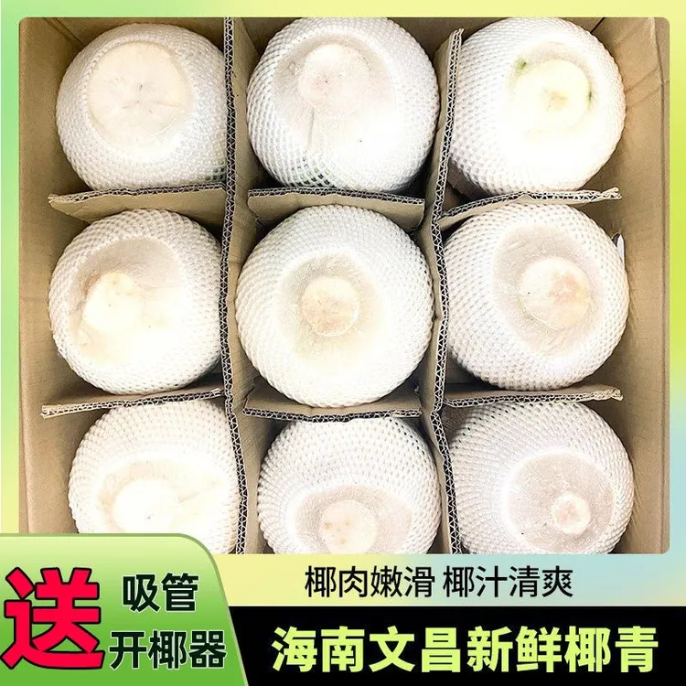 海南去皮天然椰青新鲜采摘发货清甜营养孕妇水果椰子鸡汤坏果包赔