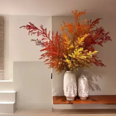 黄金香柳千层金可水养可干花家居店铺办公室装饰鲜花云南基地直发