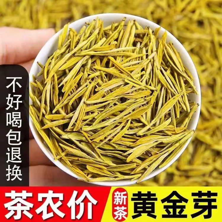 【爆款雨前黄金芽】新茶春茶嫩芽嫩叶黄金芽鲜爽回甘豆香浓郁耐泡