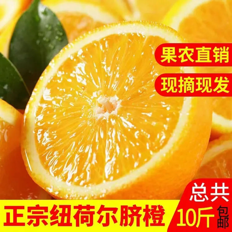 正宗溆浦大江口纽荷尔脐橙，无核化渣，产地直发10斤（中果）