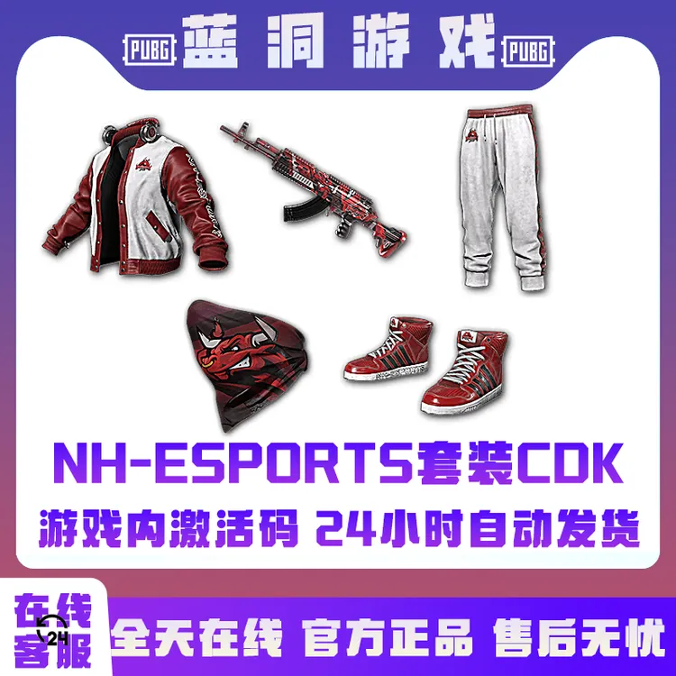 PUBG绝地求生NH-ESprotsNH联名战队五件套套装CDK激活码